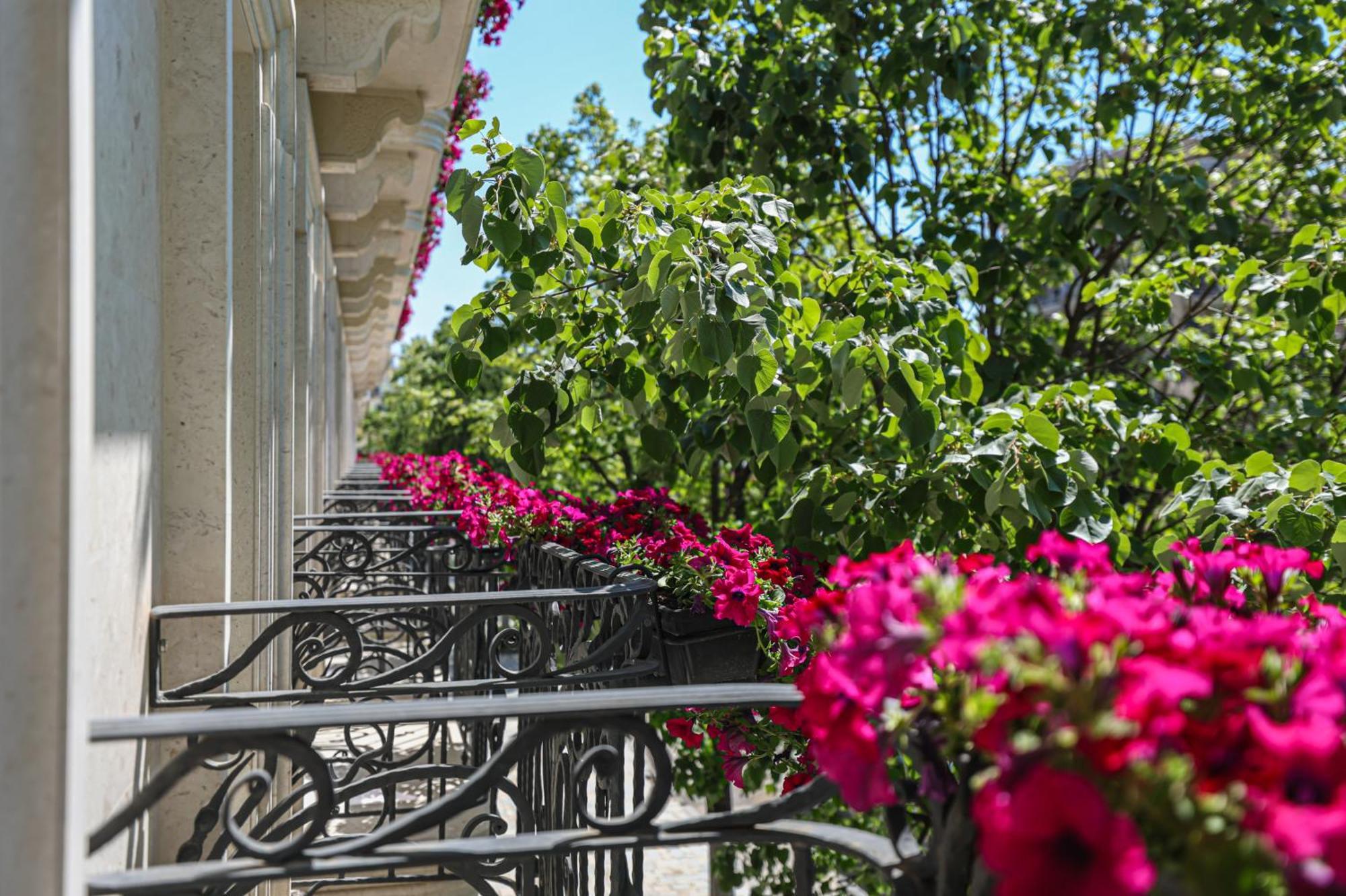 Hotel Plaza Μπεράτ Εξωτερικό φωτογραφία
